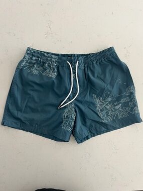 Club Monaco 5" swim trunk